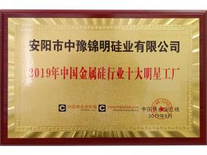 2019年中國(guó)金屬硅十大明星工廠