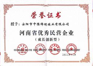 安陽市優(yōu)秀民營(yíng)企業(yè)證書